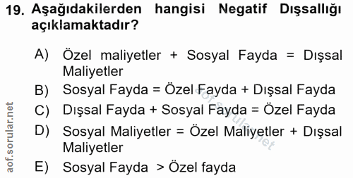 Soru 19