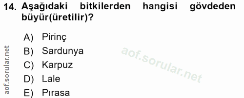 Soru 14