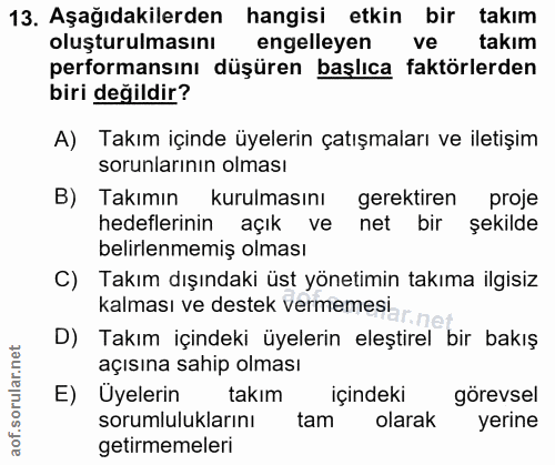 Soru 13