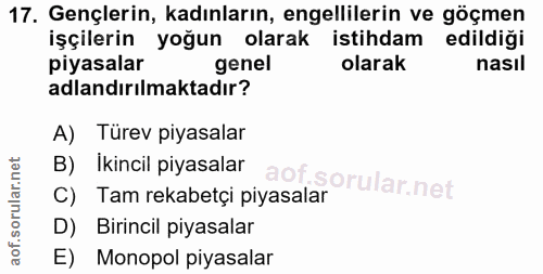 Soru 17