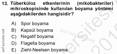 Soru 13
