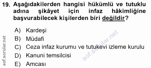 Soru 19