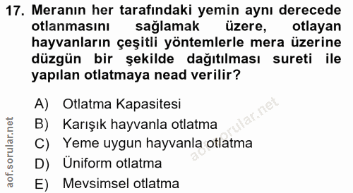 Soru 17
