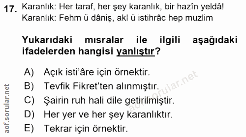 Soru 17