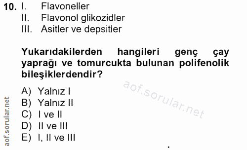 Soru 10
