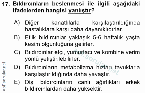 Soru 17