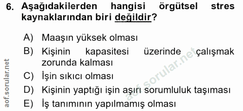 Soru 6