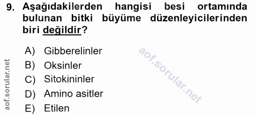 Soru 9