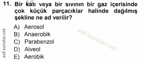 Soru 11