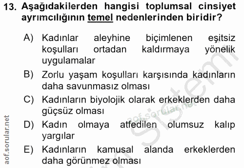 Soru 13