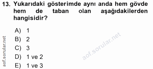 Soru 13