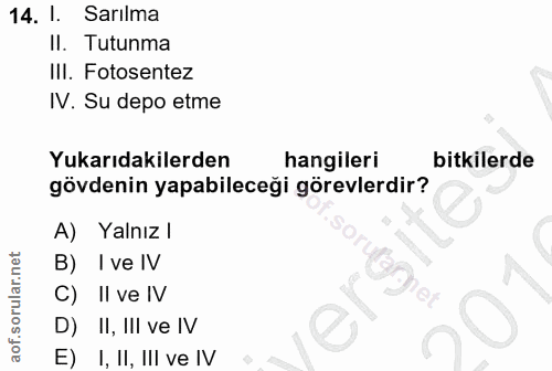 Soru 14
