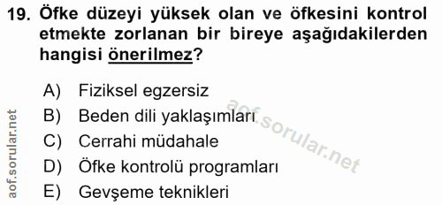 Soru 19