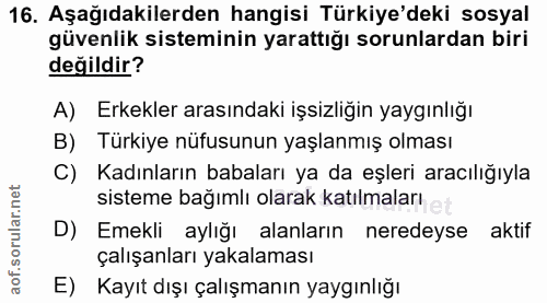 Soru 16