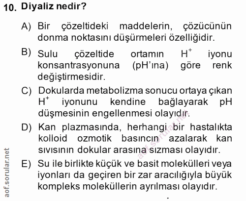 Soru 10