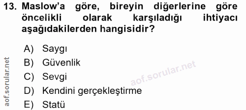 Soru 13