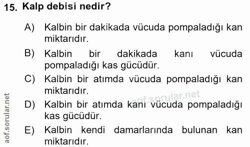 Soru 15