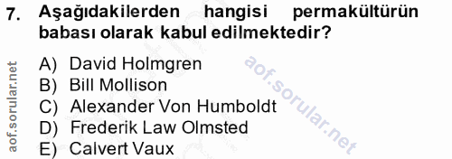Soru 7