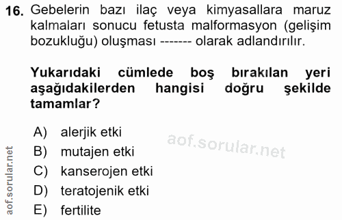 Soru 16