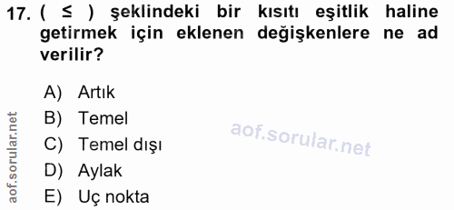 Soru 17