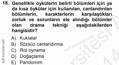 Soru 18