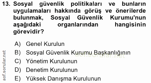 Soru 13