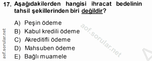 Soru 17