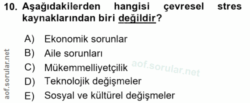Soru 10