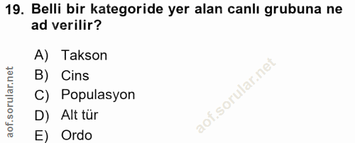 Soru 19
