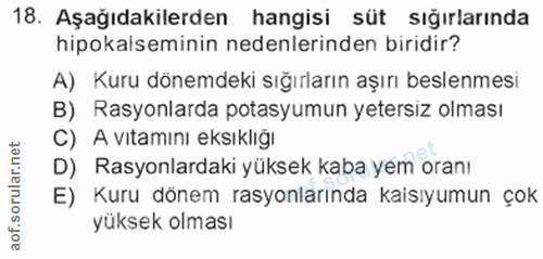 Soru 18