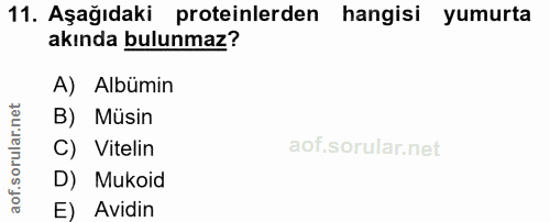 Soru 11
