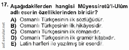 Soru 17