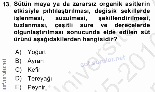 Soru 13