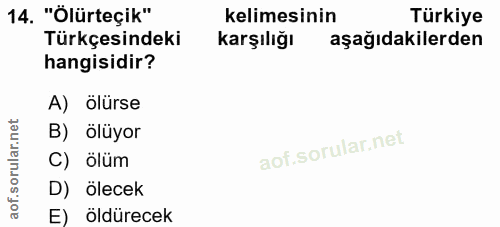 Soru 14