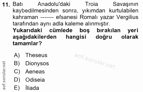 Soru 11