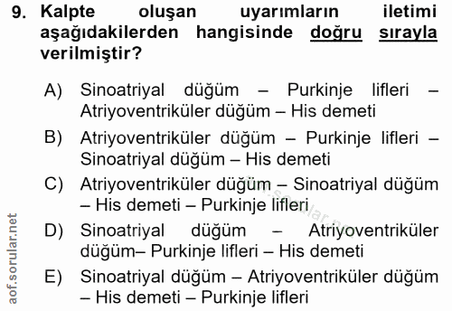 Soru 9