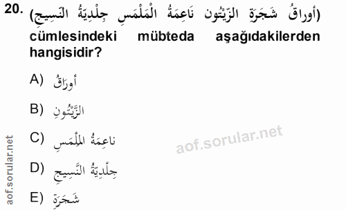 Soru 20