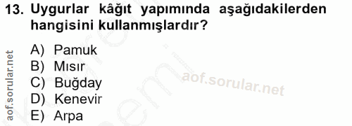 Soru 13
