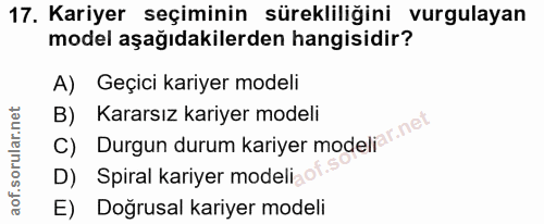 Soru 17