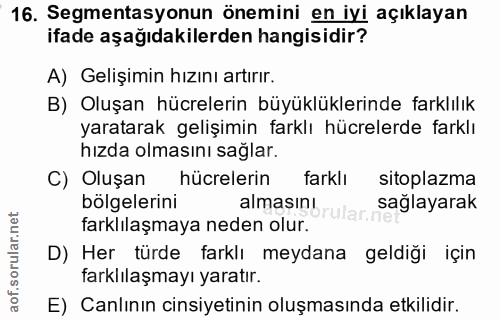 Soru 16