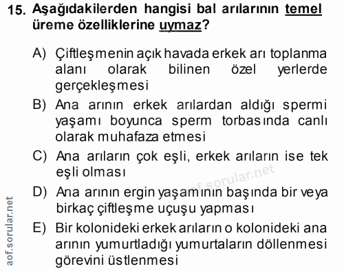 Soru 15
