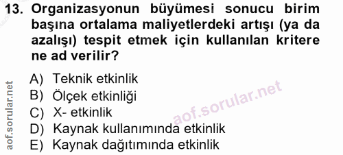 Soru 13