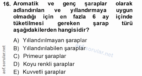 Soru 16