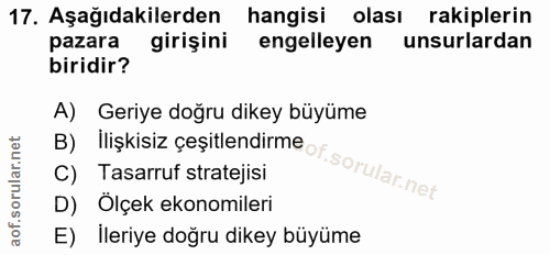 Soru 17