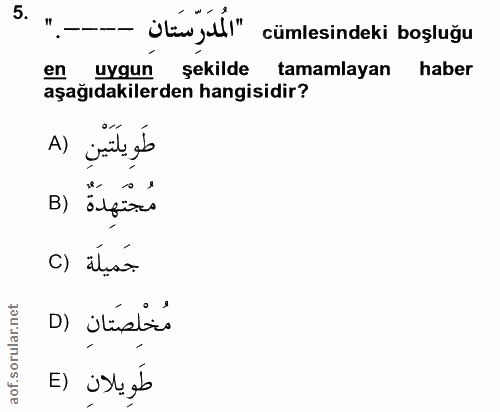 Soru 5