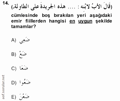 Soru 14