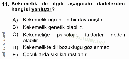 Soru 11