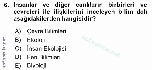Soru 6