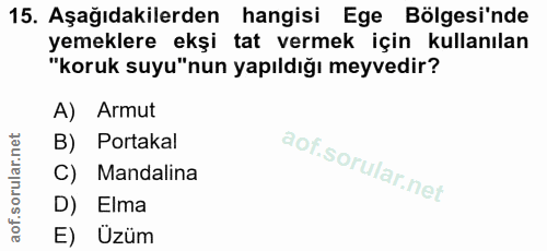 Soru 15