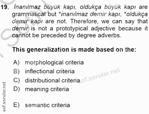Soru 19